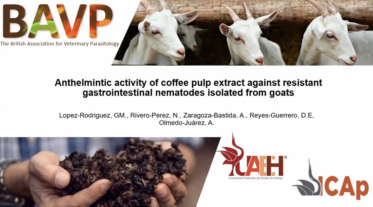 BAVet_Parasitol's tweet photo. Session Three: Parasite Control ✅

Thank you to the great speakers Gabino Misael López Rodríguez, @eilidhsartwork, @SGrinsell, @EiryWilliams 🐐☕️🐑🐕💩

#BAVPECR22 https://t.co/oOqgEsiDwR