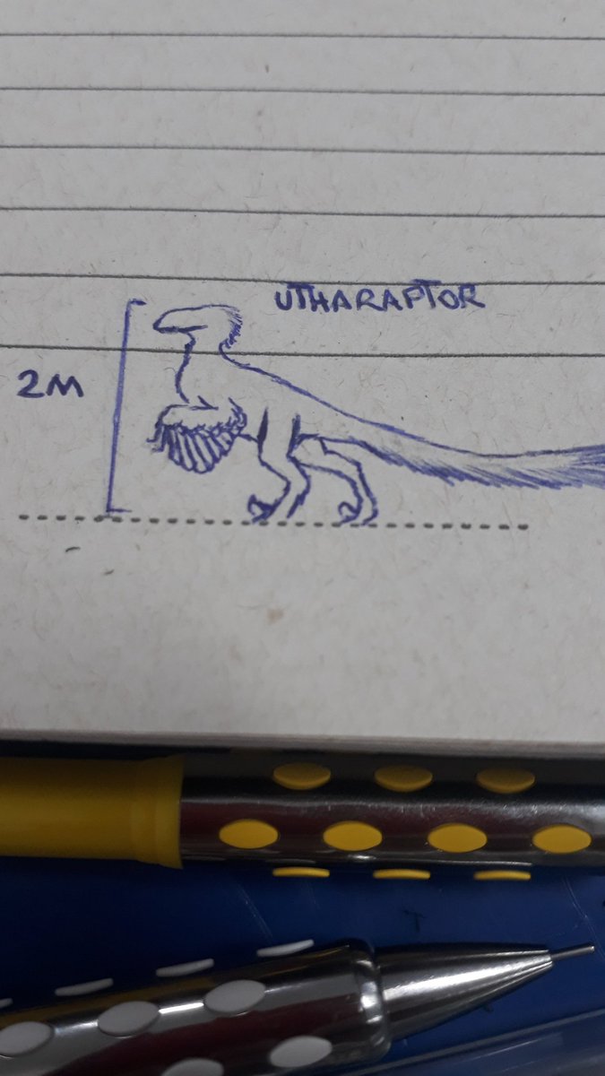 LeoVBitt's tweet image. #utharaptor 🦖