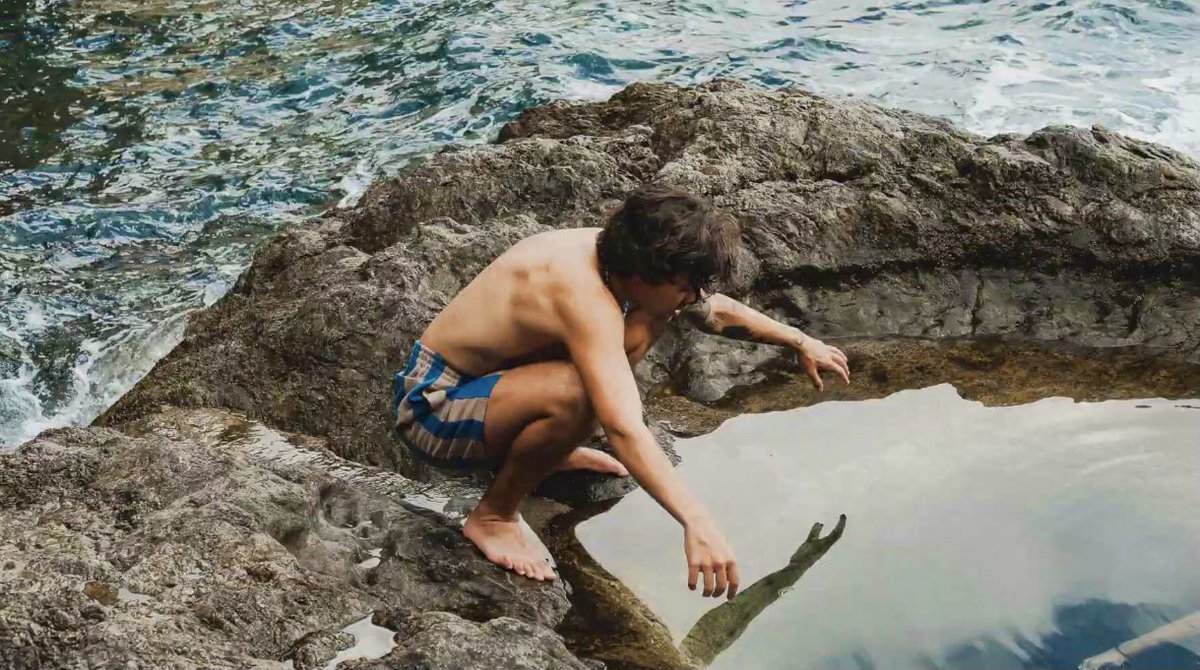 harrydailyposts's tweet photo. harry styles              harry styles
     2020                          2022 https://t.co/bQqY4b8ACs