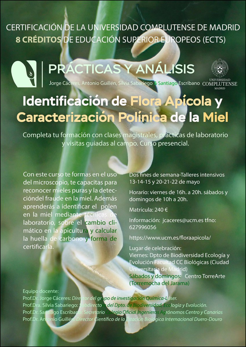 AEApicultores (@aeapicultores) on Twitter photo 