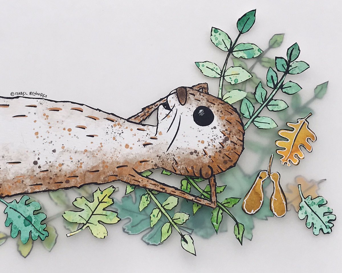 While I’m busy getting stock ready for my new online shop, otter is taking a much gentler pace… ☺️🧘 😆 #otter #otterlife #childrensbookillustration #childrensillustrator #childrenillustratorsart #wellbeing #kindness #nature #naturelovers
