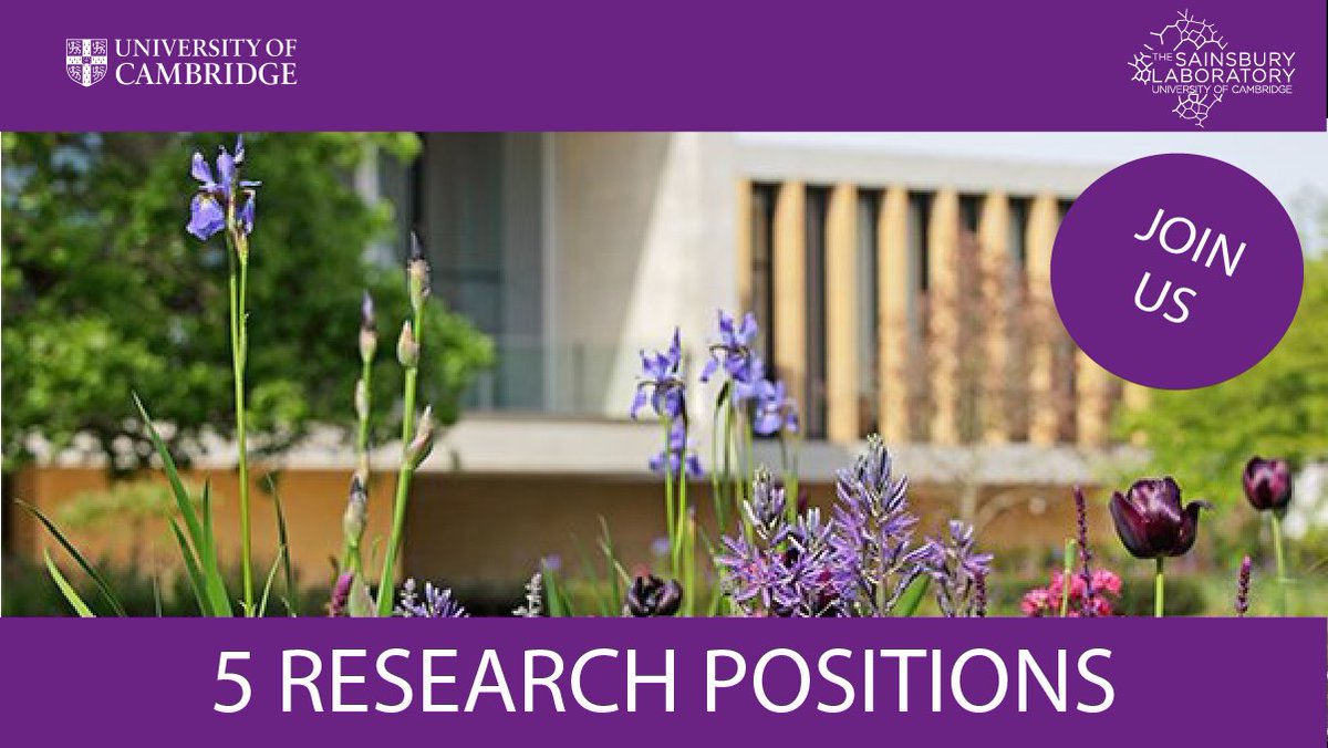 Please RT
5 VACANCIES
3 postdoc & 2 research assistant positions available in 3 different research groups in plant biology, computational biology & mathematical modelling.
Don't miss out!
bit.ly/slcujobs 
slcu.cam.ac.uk
#plantscijobs #scijobs #postdoc #phdchat