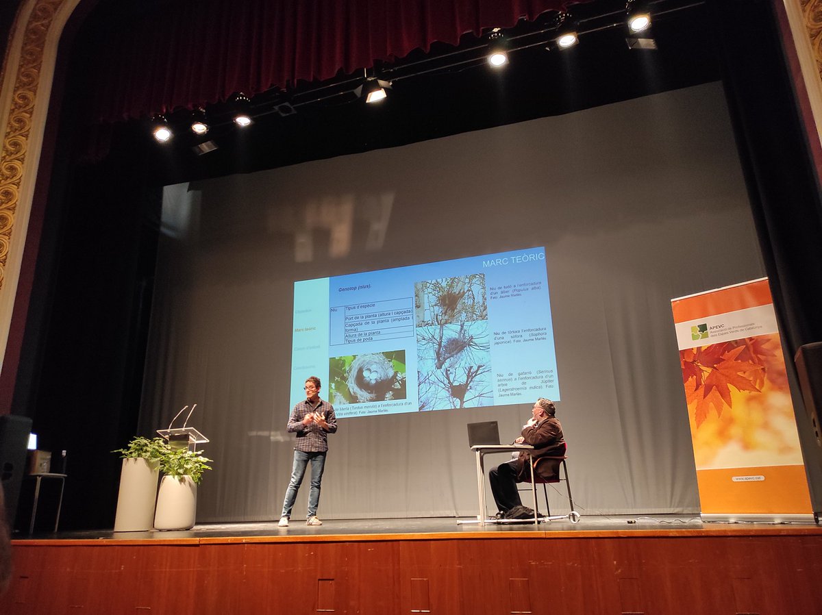 territoriscat's tweet photo. 👉🏽🌱 @jaumemarles ens parla de la seva tesi doctoral i de les particularitats dels tipus de nidificació dels ocells, les espècies, la fauna i el #mónverd que ens envolta. 🐦🦜🐣
@apevcat @ajmollerussa @teatrelamistat @FiraMollerussa
#22ècongrés #APEVC https://t.co/KJQMWxudNS