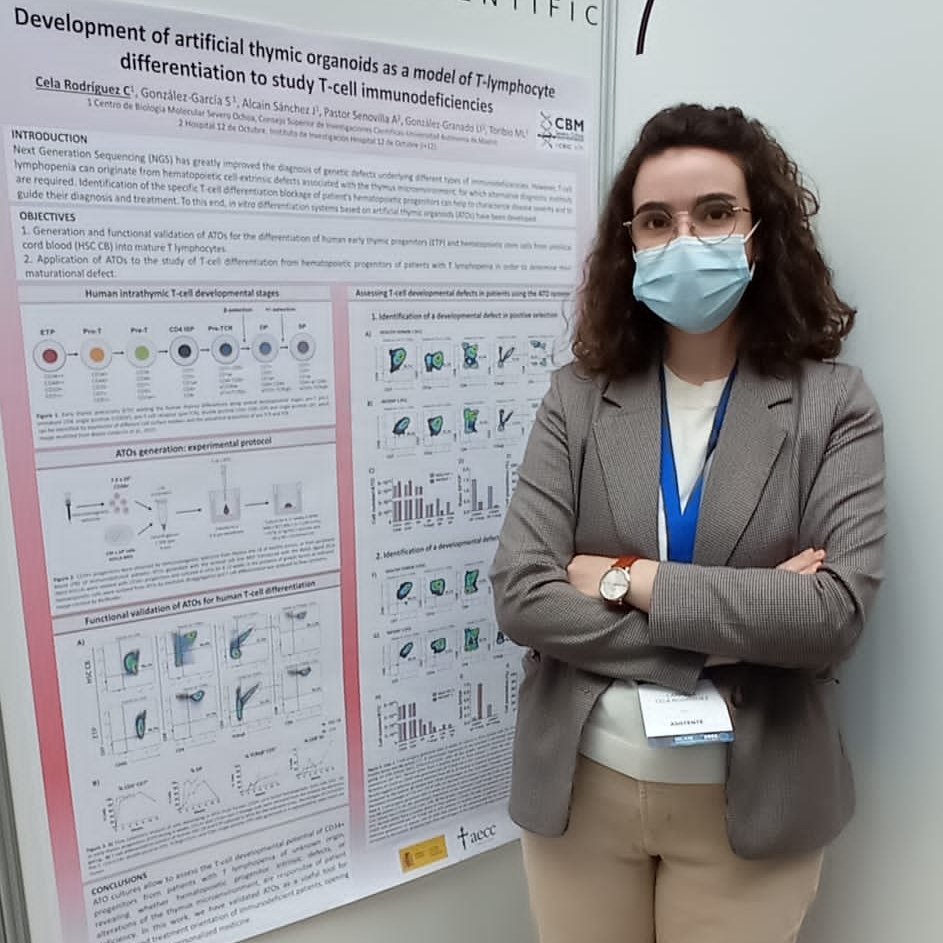 ToribioLab's tweet photo. Carmela Cela (@Biochemiss) has presented her promising work on developing artificial #thymic #organoids as a model of #Tlymphocyte differentation to study #Tcell #immunodeficiencies 👩‍🔬👍 @DeInmunologia https://t.co/6KkVZKdoEA