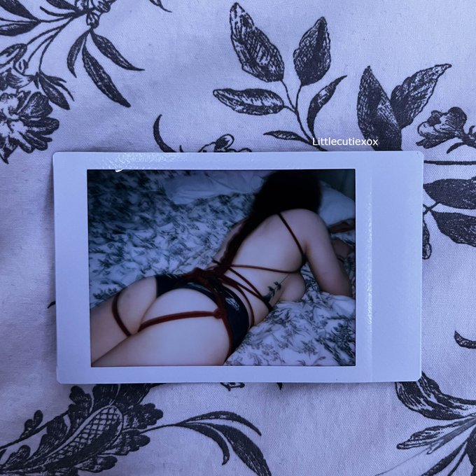 A little reminder of how hot my polaroids are✨ https://t.co/FaJnN7QGnK
