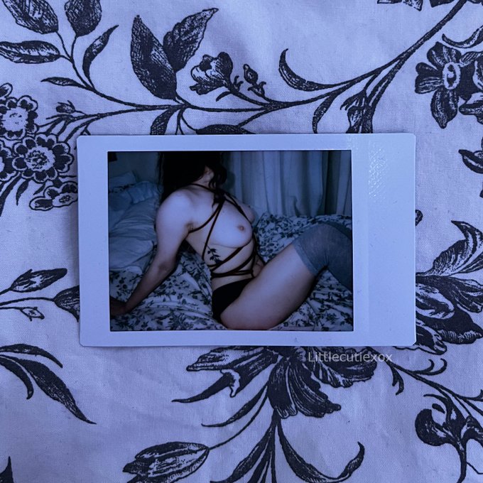 A little reminder of how hot my polaroids are✨ https://t.co/FaJnN7QGnK
