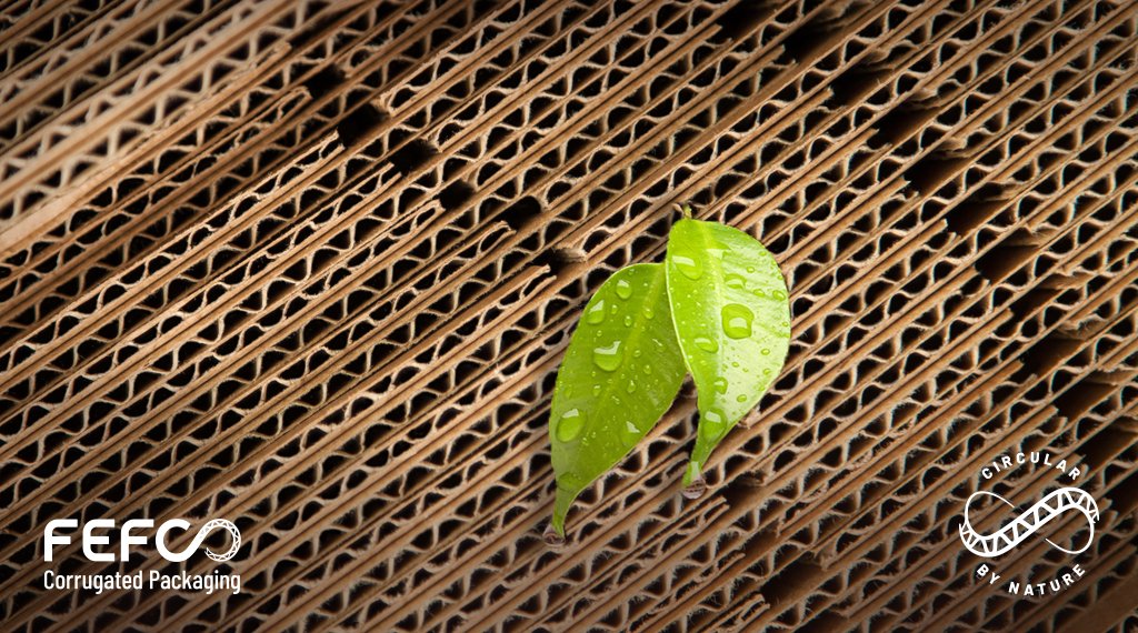 A major US retailer will prioritise #sustainable packaging by screening eligible packages &amp; shortlisting them only if they pass criteria set by <a href="/circulareconomy/">Ellen MacArthur Foundation</a>. Recycling resistant &amp; fossil-based materials could be disqualified. Learn more👇!

bit.ly/3kNme8o

#DeliverOn