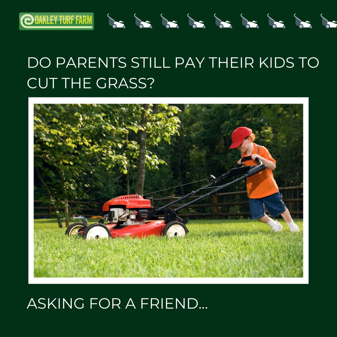 🤷🤯

#askingforafriend #kidsgardening #gardeningforkids #earningpocketmoney #gardeningchores