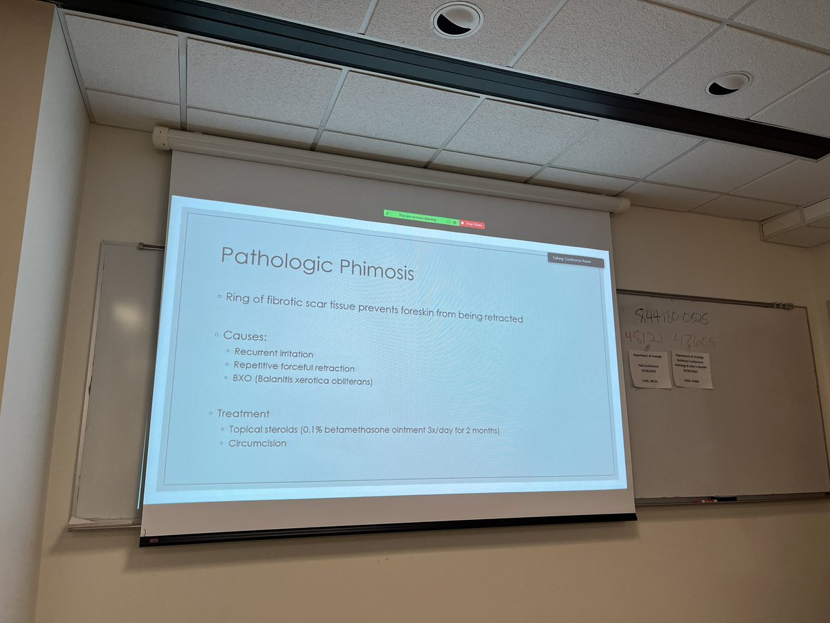 Our own Dr Sherwood leading our monthly pediatric urology teaching conference. Dropping pediatric urology knowledge bright and early this am <a href="/UIowaPeds/">UI Stead Family Department of Pediatrics</a> <a href="/UIowa_urology/">University of Iowa Urology</a> <a href="/AmerUrological/">Amer. Urol. Assn.</a> <a href="/UIchildrens/">UI Health Care Stead Family Children's Hospital</a> <a href="/IowaMed/">Carver College of Medicine</a> <a href="/SPU_Urology/">SPU_Urology</a>