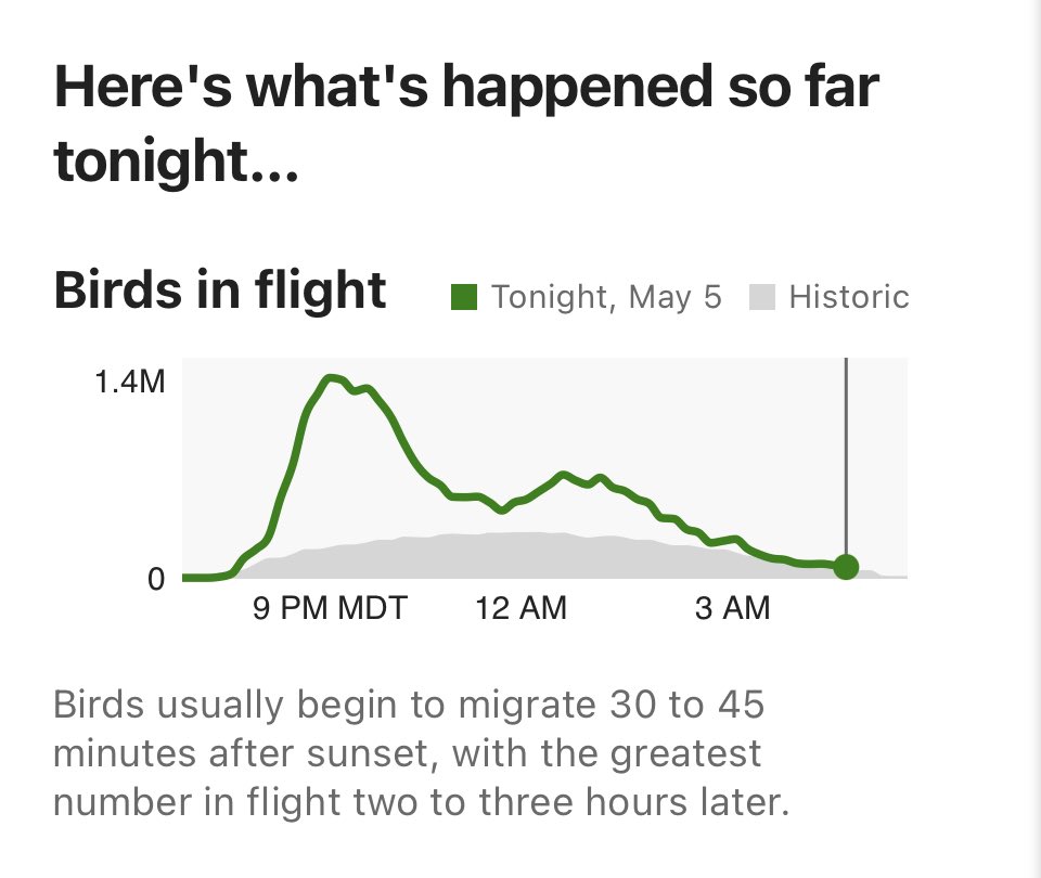 Kirk Miller (@kamiller63) on Twitter photo As of 0500 MDT, <a href="/DrBirdCast/">Team BirdCast</a> estimates over 3 MILLION birds crossed Laramie County. I can’t even… #migration #audubon As of 0500 MDT, <a href="/DrBirdCast/">Team BirdCast</a> estimates over 3 MILLION birds crossed Laramie County. I can’t even… #migration #audubon