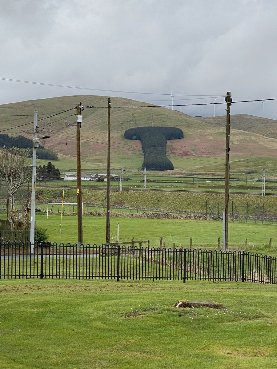 When planning your plantation think carefully about the shape as it will be seen from a distance…