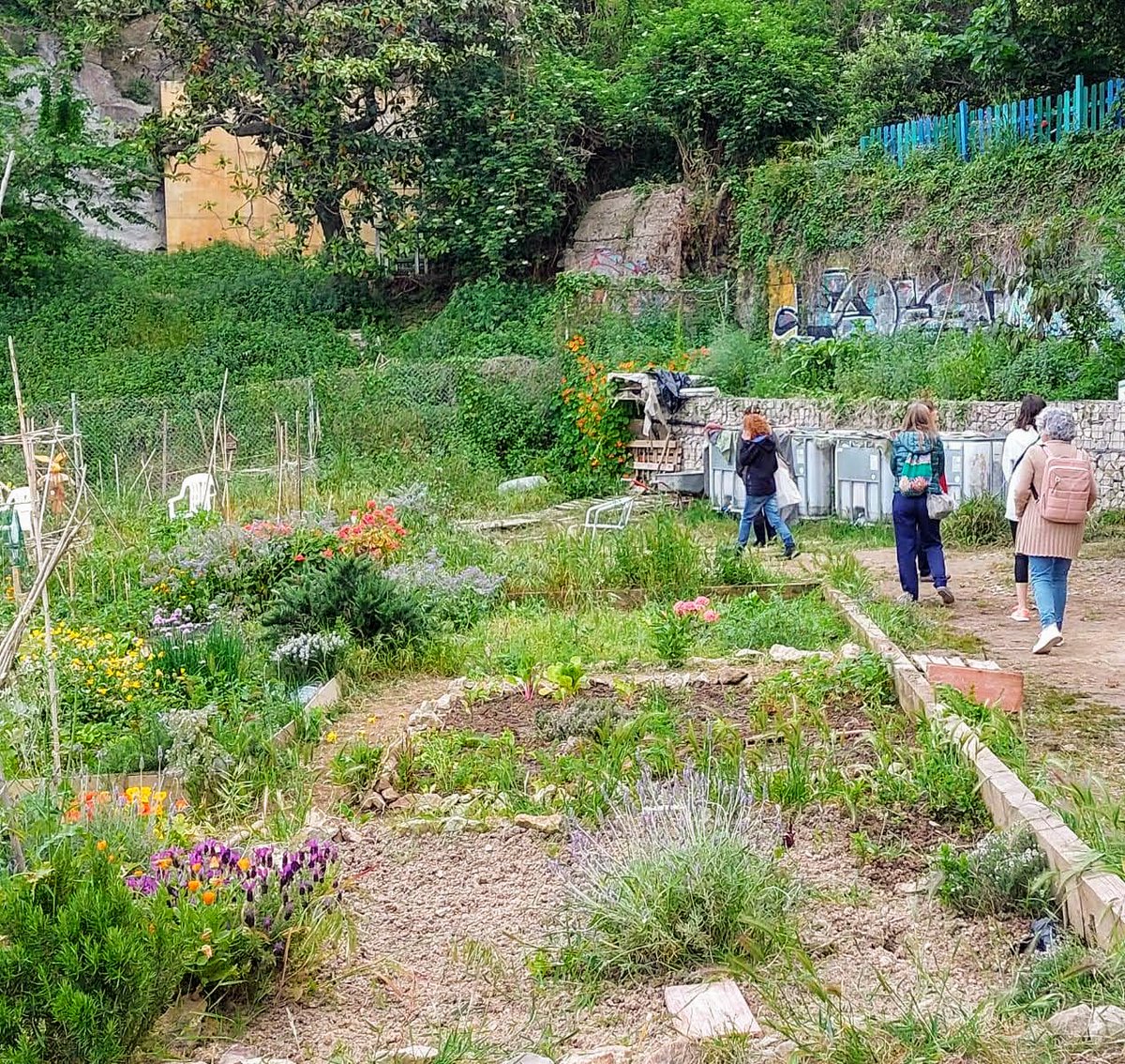 Centre Cívic El Sortidor tweet media