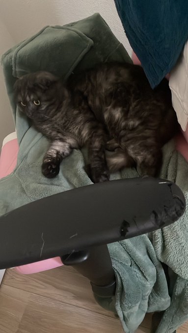 @DXRacerEurope @DXRacer :( rip armrests he was throwing a tantrum suddenly in one night and ruined my<a class="tags" target="_blank" title="On Twitter" href="/?out=eyJ0eXAiOiJKV1QiLCJhbGciOiJIUzUxMiJ9.eyJpYXQiOjE3MTk1NjYyNjcsImlzcyI6InR3cG9ybnN0YXJzLmNvbSIsIm5iZiI6MTcxOTU2NjI2NywiZXhwIjoxNzUxMTAyMjY3LCJyZWRpcmVjdF91cmwiOiJodHRwczovL3R3aXR0ZXIuY29tL0RYUmFjZXJFdXJvcGUifQ.RlXEoITpfpWTA7_sHrJJPFxzEXPdJrn43CVgV5Efik2Uq7ZUND6FatH9VQUhIFZ_Jqt73QXYf0e7J8k69IsURw">@DXRacerEurope</a><a class="tags" target="_blank" title="On Twitter" href="/?out=eyJ0eXAiOiJKV1QiLCJhbGciOiJIUzUxMiJ9.eyJpYXQiOjE3MTk1NjYyNjcsImlzcyI6InR3cG9ybnN0YXJzLmNvbSIsIm5iZiI6MTcxOTU2NjI2NywiZXhwIjoxNzUxMTAyMjY3LCJyZWRpcmVjdF91cmwiOiJodHRwczovL3R3aXR0ZXIuY29tL0RYUmFjZXIifQ.4E2v6YkNrFCbfbO6wWBXknudTzUHYhiNyO_TXQgx_j2waPlhkVN-VVfdGJ6pdSz-YI_Bq9Sf3FvBQciG7RfMew">@DXRacer</a><a href="/tag/throne"class="tags"><span>#throne</span></a><a href="/tag/wishlist"class="tags"><span>#wishlist</span></a>