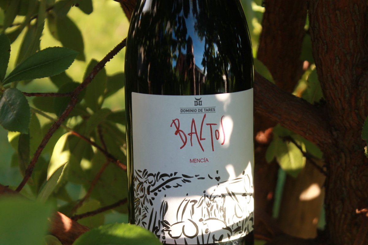 DominiodeTares's tweet photo. Baltos, vendimiado a mano racimo a racimo 🍇, fermentado con su propia levadura natural, criado de 4-6 meses en barricas de roble francés con 1️⃣2️⃣ meses extra de media en botella.

¡Es nuestro mencía para todos los días! 

#bierzo #elbierzo #baltos #mencía 
@DOBierzo https://t.co/ysDObnjWHS