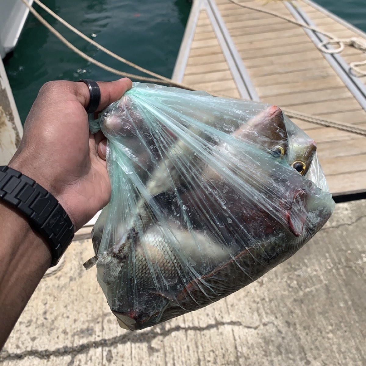 عشوائيات من رحلة ينبع