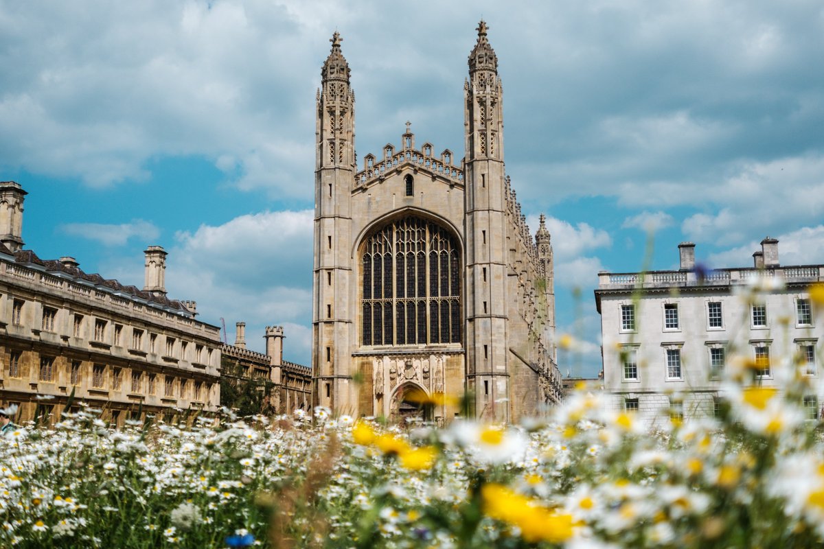 Cambridge International Academy tweet media