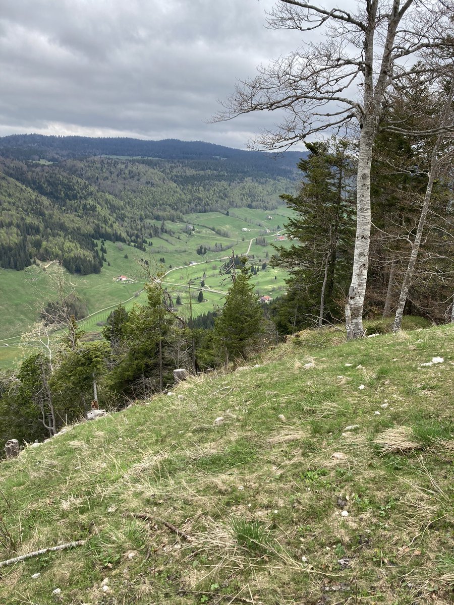 Nous sommes arrivés au <a href="/Raid_CS/">Raid CentraleSupelec</a> #RaidCS2022🤩
Aujourd’hui, les équipes sont mixées pour favoriser encore plus les échanges entre étudiants et entreprises avec au programme 45 km de trail et vtt avant de se retrouver sur le village d’activité. On a hâte de retrouver la #teambnpp !