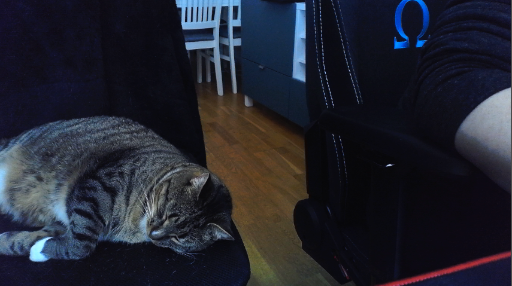 ShiruceTV's tweet photo. Prepping the scenes ahead of time to make sure everyone can properly see Fatso on stream ;) https://t.co/zxgCX1Hoog