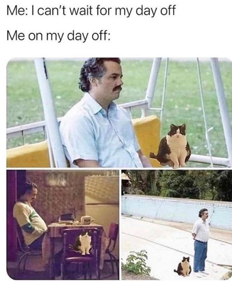 ThinkPipeline's tweet photo. Who can relate to this on their weekend?😂

Give the post a RT or like if you do! 👍

#sales #meme #itsales #marketing #blogging https://t.co/uCU0reL1f4