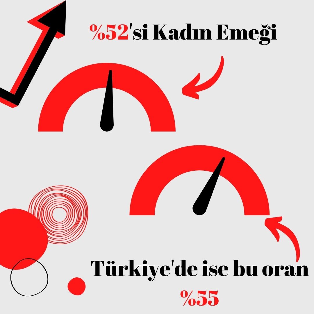 Dünya'da kadın emeği %52'yken Türkiye'de kadın emeği %55. Türkiye'deki toplam emeğin %55'i #kadın, %45'i ise #erkek emeği.  
UN Development Programme, Human Development Report 2015