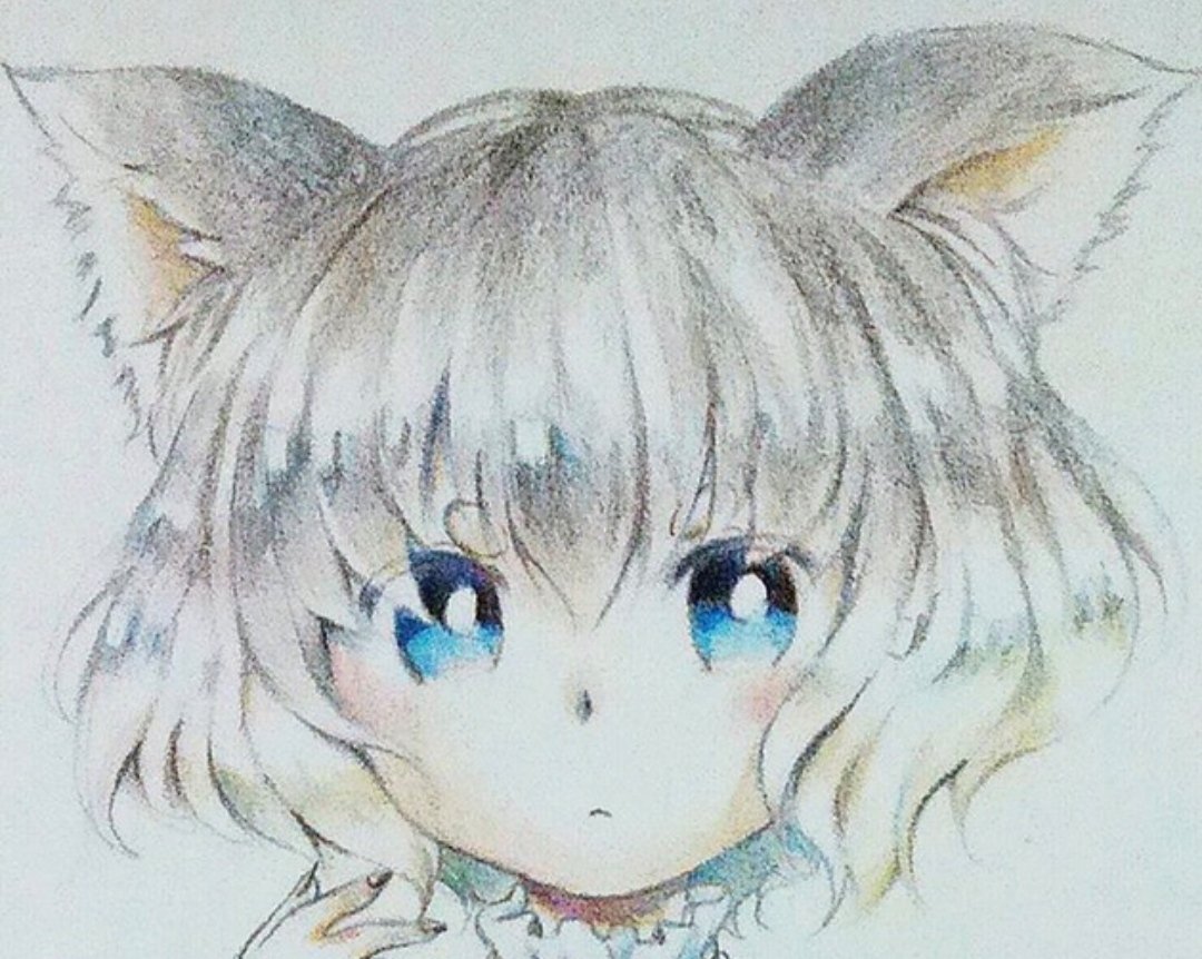 ペット擬人化 Twitter Search Twitter