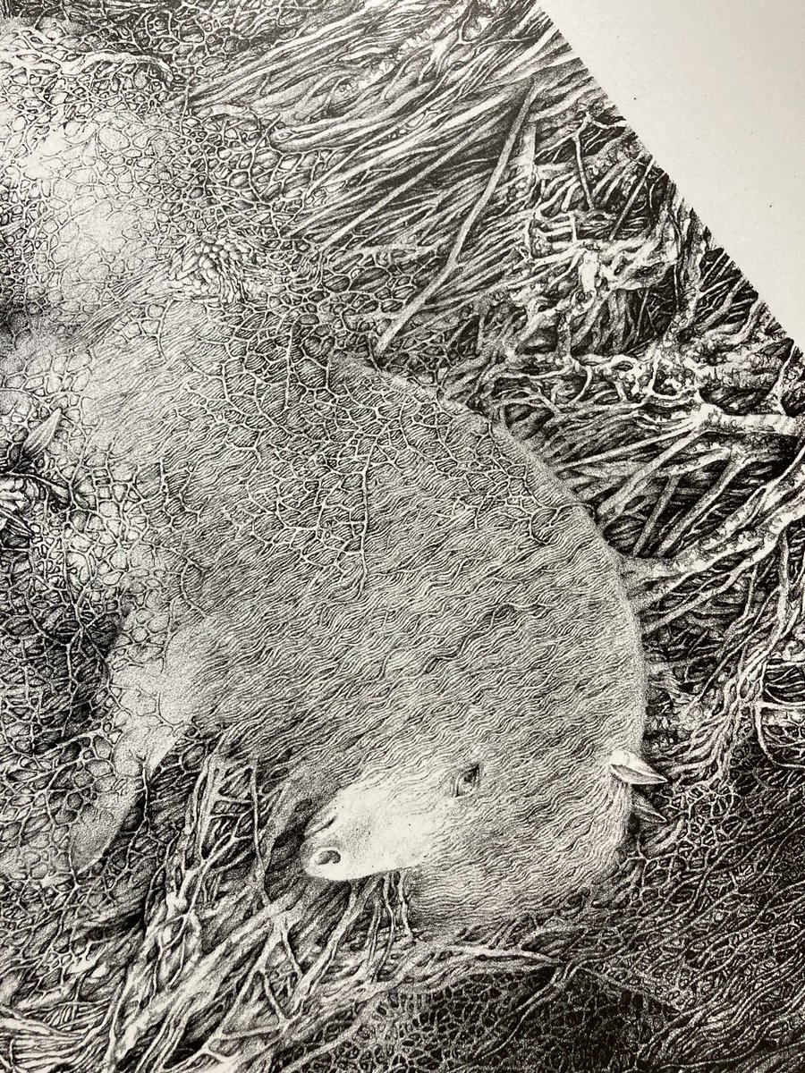 作業中です。過去作品/素材: ダーマトグラフ(油性鉛筆),リトグラフ　 #art #artwork