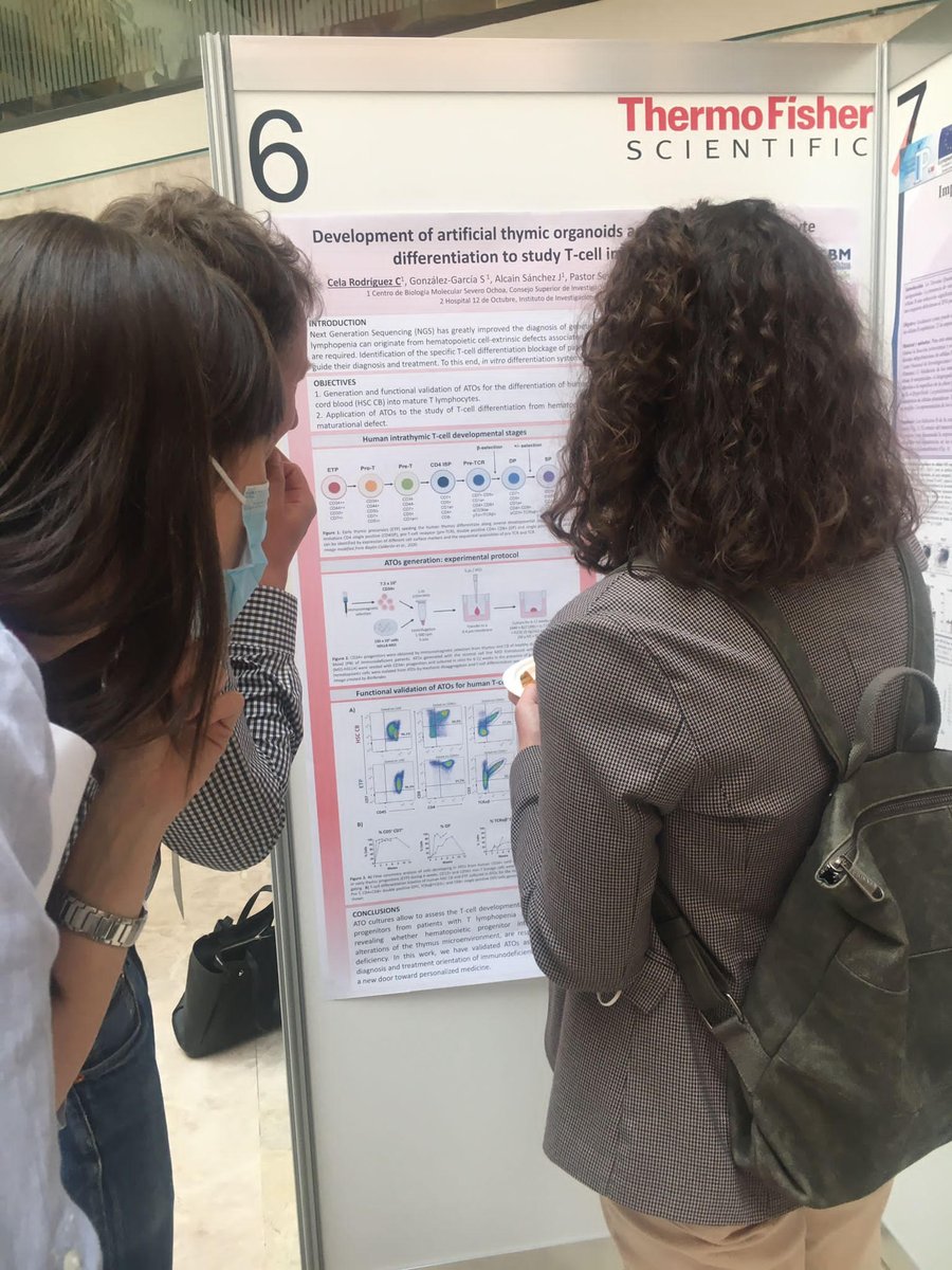 ToribioLab's tweet photo. Carmela Cela (@Biochemiss) has presented her promising work on developing artificial #thymic #organoids as a model of #Tlymphocyte differentation to study #Tcell #immunodeficiencies 👩‍🔬👍 @DeInmunologia https://t.co/6KkVZKdoEA