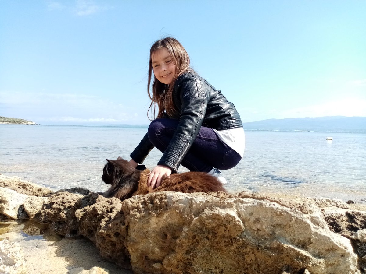 amicisupallosu's tweet photo. Ciupa, femmina, pelo nero, con sfumature rosse è uno dei più dinamici 33 gatti dell'Oasi.
#gatti #blackcat #supallosu #sardegna #cats #catsoninstagram #catsonthebeach #italy #wonderful_places #Ciupa https://t.co/6yOExjTm6q