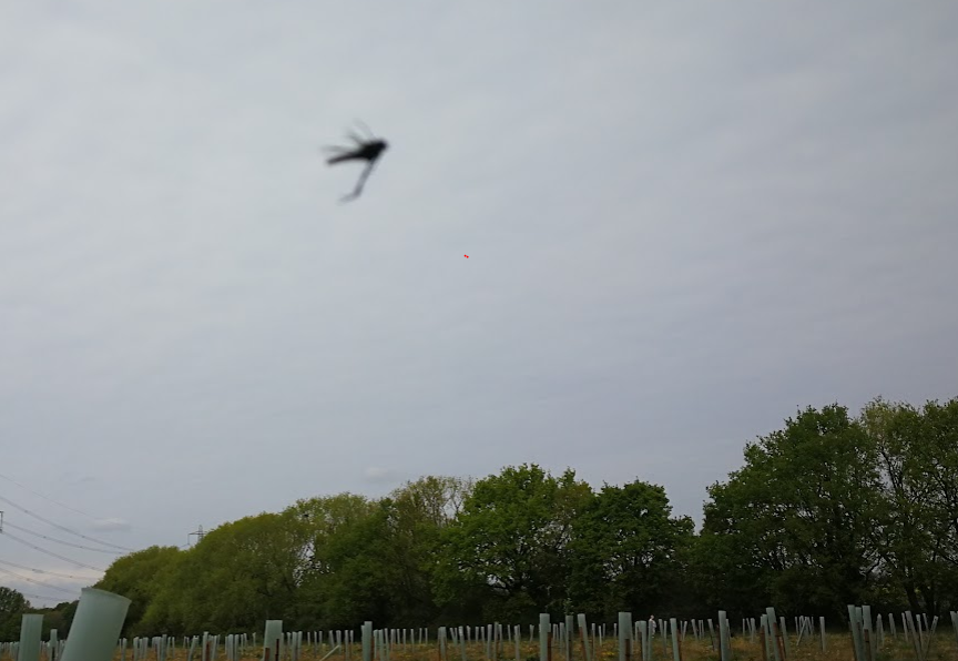 Fish4Flies's tweet image. There's a massive Hawthorne hatch down by our local river and plantation. Yes, they are as big as they look! Observation is key, here are some of our suggestions of matching flies. #flyfishing #fishingflies
fish4flies.com/s/1042%203559%…