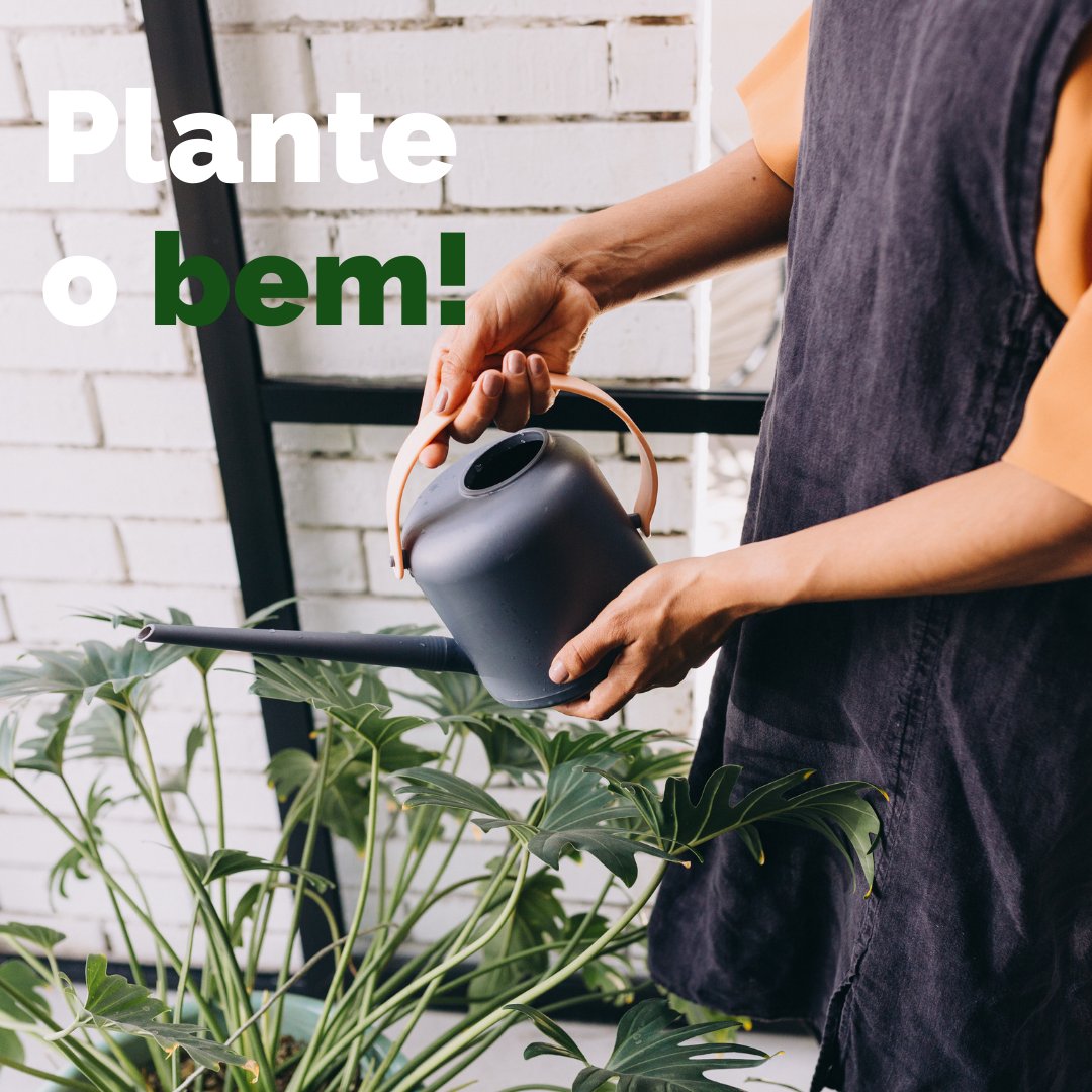 espaco_gourmet's tweet photo. Cuidando do planeta. Desapegue!Se plantarmos o bem, colheremos o bem!!!
Cuide do nosso planeta 🌍 , e faça a diferença no seu dia a dia, com pequenos e importantes hábitos! https://t.co/u9cGHjRqxm