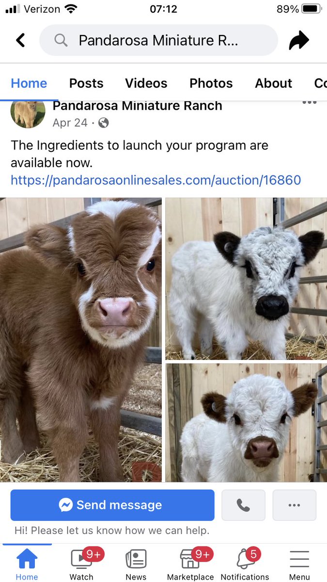 Alex Head tweet media