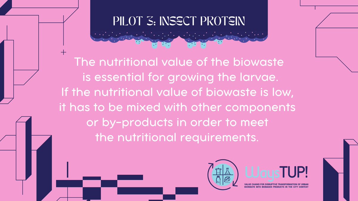WaystupH2020's tweet photo. ℹ️ Sharing findings from the @WaystupH2020 pilots…
Pilot #3 👉 Insect Protein
#EU #EU_H2020 #EUAgri #H2020 #HorizonEU #EIPagri #EIPAGRI_SP #EIPagriDigi #CEstakeholderEU #EIPAgriCircular #EuBioNet1 #researchimpacteu #Science #InvestEUResearch #Research #EUeic #EITeu https://t.co/pwMQpbhxo8