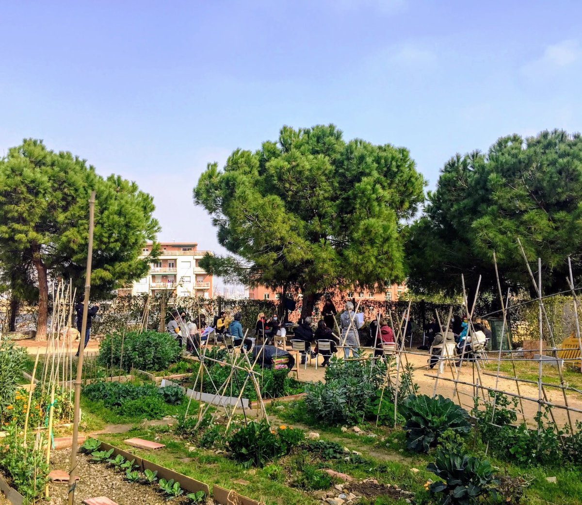 Centre Cívic El Sortidor tweet media