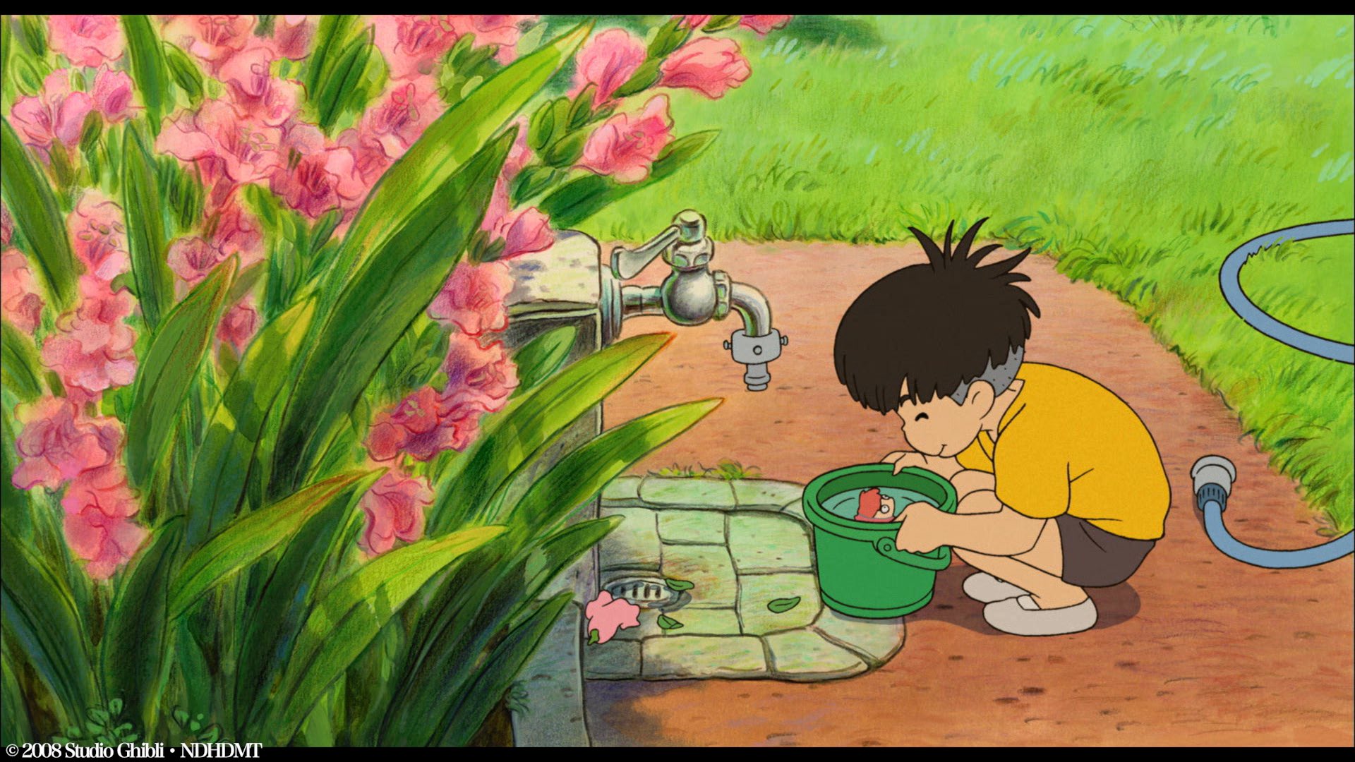 アンク 金曜ロードショー公式 庭に植えられたたくさんのピンクの花は グラジオラス 花言葉は 情熱的な恋 思い出 努力 忘却 等で ひとつの花でこんなに多様な意味を持つ花はそう多くないそうです そのためかどうかは分かりませんが 宮崎駿監督は