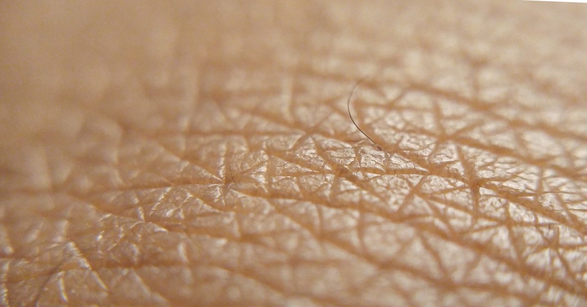 dermadrink's tweet photo. FUN FACT FRIDAY!  The average person has about 300 million skin cells.  A single square inch of skin has about 19 million cells and up to 300 sweat glands.  #funfactfriday, #Clearskin #Allnatural #Acne #Acnesupplement #Nomoreacne #Bybyacne #Acnedrink #Acnegummies https://t.co/gHXnOWU48Y
