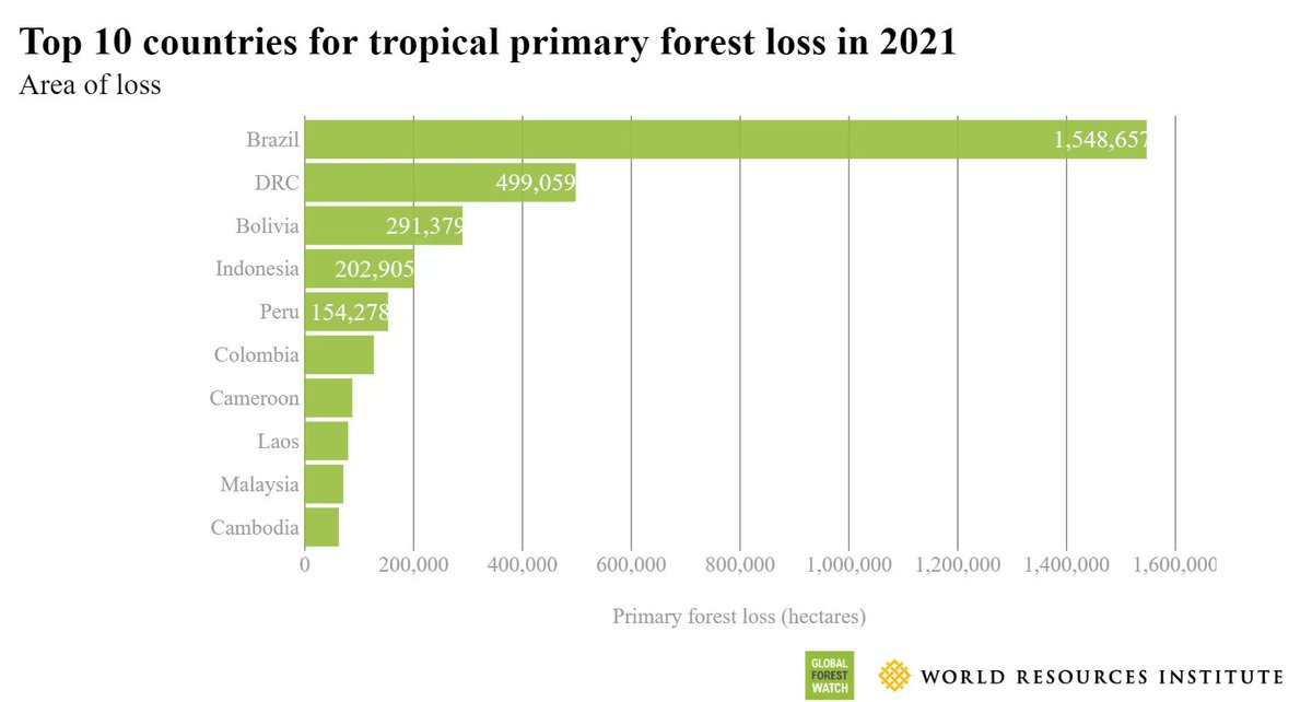 EcoLogicDevFund's tweet photo. 🍃 FACT: Last year, just one country was responsible for more than a third of all #deforestation in the tropics https://t.co/zgLMgSPKex
#ForNature #BetterWithTrees #restoration #reforestation @globalforests @WorldResources https://t.co/nCg7TEPHwD