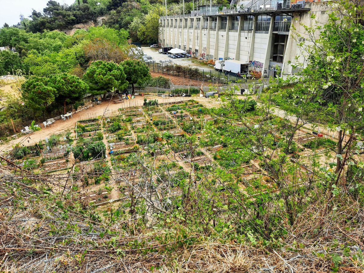 🌱 En el taller de demà a la <a href="/Fonttrobada/">Font Trobada</a> veurem què està cultivant el veïnat del barri, coneixerem els beneficis de les plantes aromàtiques i les flors, i aprendrem remeis casolans per tenir cura del nostre hort d'interior o de finestra. Últimes places: bit.ly/secrets-herbes…📲