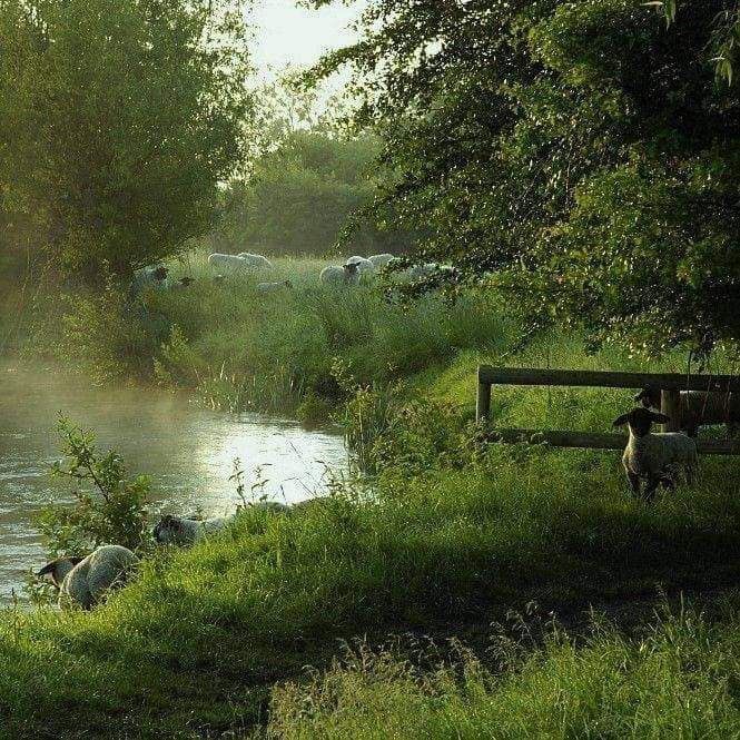 esthétique (@monetsliliess) on Twitter photo 