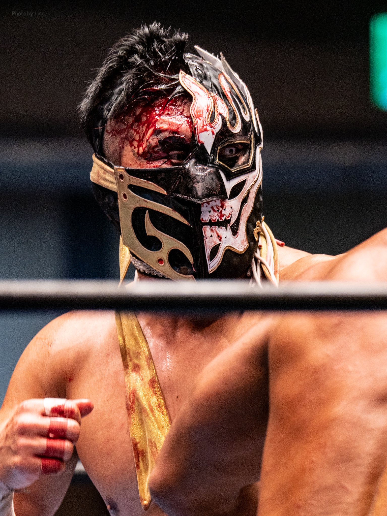 プロレス マスク エル デスペラード 選手EL DESPERADO 折り込む