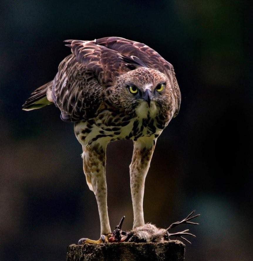 #Doğa da hayat var... #iyigeceler