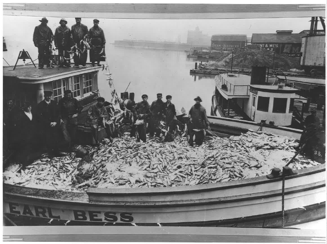 Dr_KaoYC's tweet photo. real Earl Bess, scanned from the an original (physical) photo~~
#GreatLakes #Coregonines #Fisheries https://t.co/6ZjDp5YoEv