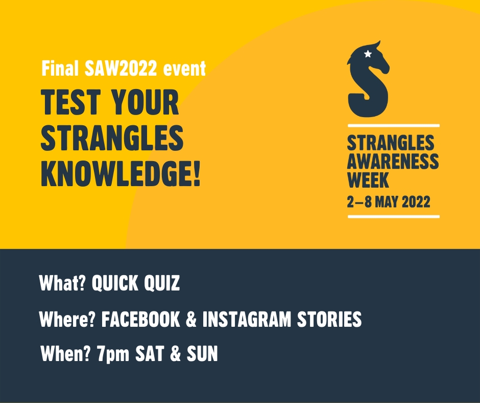 StranglesWeek's tweet image. After a week of Strangles facts, expert conversation and taking resting temperatures we turn to our last event of the week... a quick-fire quiz to test your Strangles knowledge!

How will you do 🤔

#SAW2022 #TempCheckChallenge