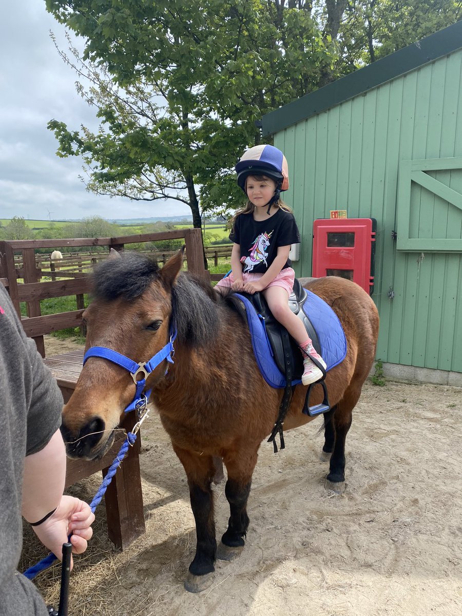 SteffanyLogan's tweet photo. @churchfieldprim Pixie 🧚‍♀️ had a wonderful time in Cornwall visiting the Dairyland farm. She got to ride a pony, learn about insects and reptiles 🦎 and saw tractors from years ago in the museum. Plus had fun playing on the park. https://t.co/gfUJBuFrBz