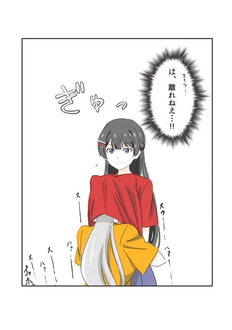 フェス 