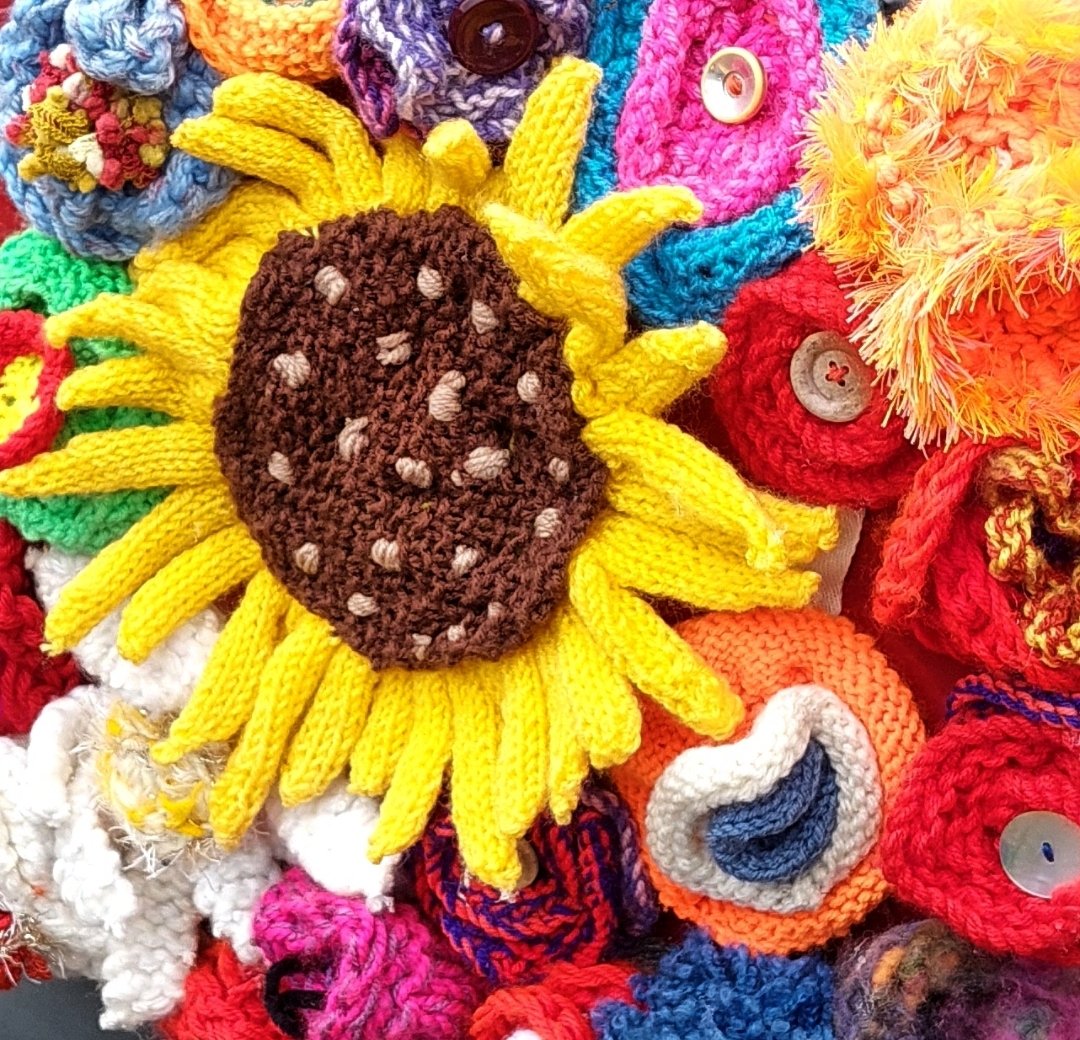 Hannah Meara tweet media