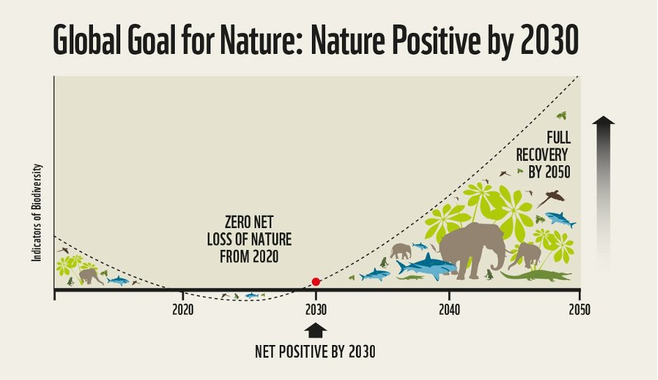 I like the term #NaturePositive but have been getting concerned about how it's being loosely applied to anything nice we do for #nature. We need to stand firm with the naturepositive.org definition which is clear about baseline, measurability, and timeframe. A 🧵