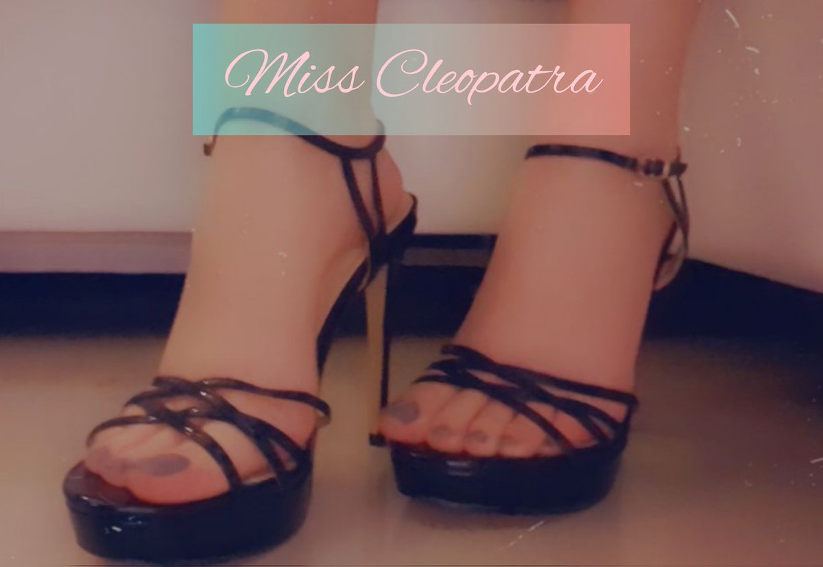 _Miss_Cleopatra's tweet photo. Poveri illusi, alcuni vermi pensano davvero di poter avere una donna come me 😂😂 https://t.co/j0qtxRkaTj