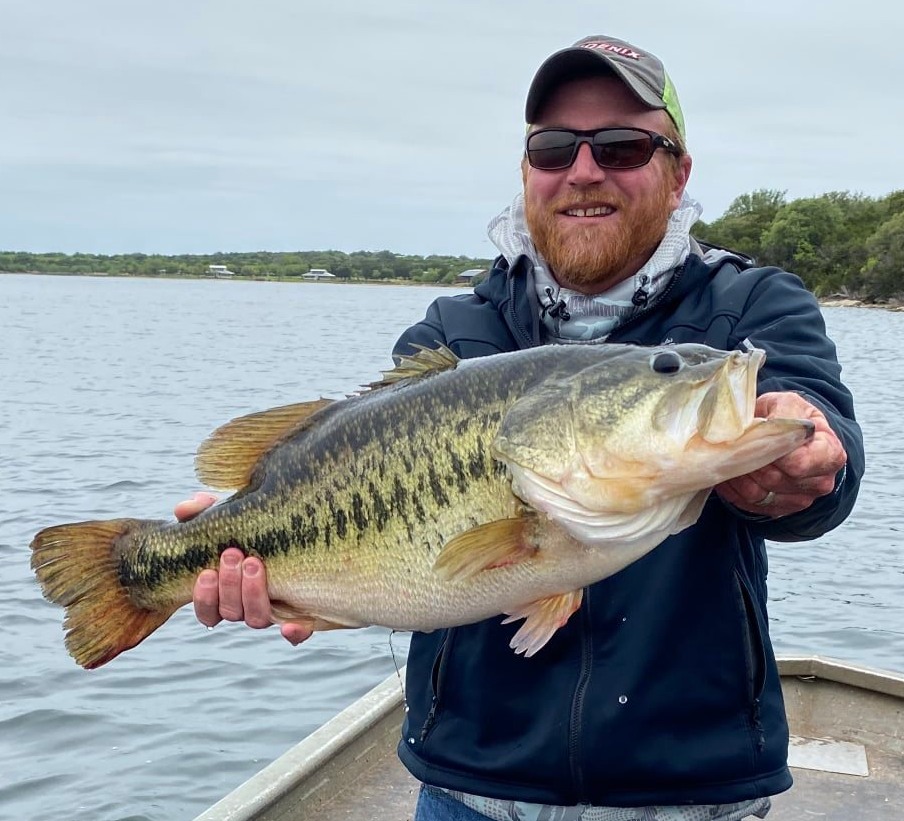 TPWDfish's tweet photo. This week Steven Davis, Randy Palmer and Montana Hand returned their Legacy Sharelunkers to Possum Kingdom. The fish were caught and donated to the Toyota ShareLunker Program. PK hasn't produced a Legacy Sharelunker since 1991.All three fish were pure Florida Largemouth Bass! https://t.co/CvqK6nopaq