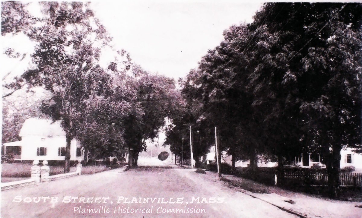 PHCPlainvillema's tweet photo. South st. through Plainville can be a beautiful street. But looking at the huge trees that lined it when this photo was taken. Whew. Incredible. Look at all the shade those beauties are providing!!
#ArchiveHashtagParty #archivetrees #localarchive #PlainvilleMa https://t.co/DZ37Dur1QE
