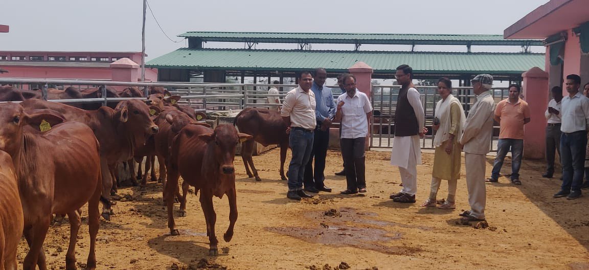 madhuchauhanbjp's tweet photo. A small visit to Dairy farm at Kalsi with cabinet minister Shri Saurabh Bahuguna ji, MLA Vikasngar Shri Munna Singh Chauhan ji and secretary Shri Purushotam ji https://t.co/pPZqXRgx2X